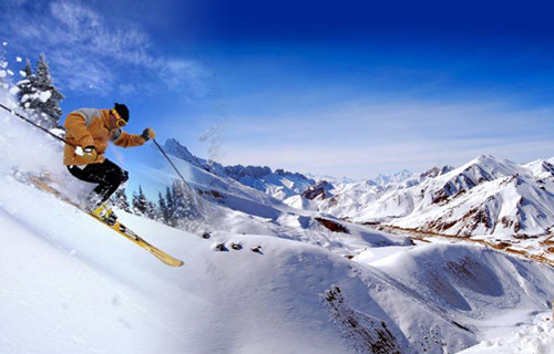 Bhardwaj Tour and travels Taxi